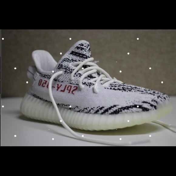350v2 zebra